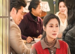 短剧《主妇的荣耀（29集）》免费短剧完整版观看