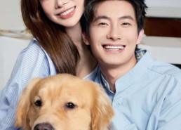 短剧《我的野蛮男友（70集）》免费短剧全集随心看