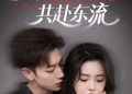 短剧《爱恨与你共赴东流（78集）》短剧完整版免费在线赏