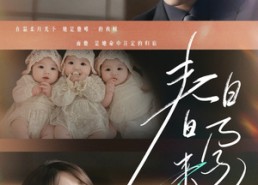 短剧《春日来孕（60集）》优质短剧高清在线享