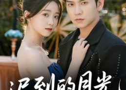 短剧《迟到的月光（80集）》短剧免费高清全集畅看