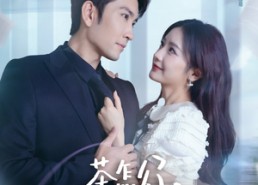 短剧《茶怎么了不影响我重生开大（80集）》短剧超清全集免费观看