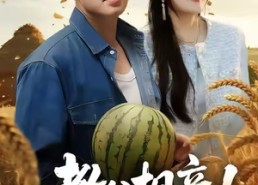 短剧《教父相亲娇妻要他垦荒种地（58集）》短剧完整版免费畅享