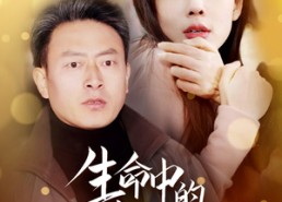 短剧《生命中的不期而遇（35集）》免费短剧高清全集速览