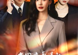 短剧《老同学邀请我参加她和我老公的婚礼（33集）》热门短剧完整版在线