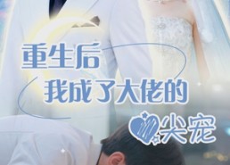 短剧《离婚后我成大佬心尖宠（101集）》短剧全集高清在线免费看