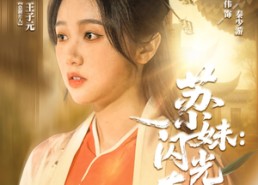 短剧《苏小妹闪光奇旅（24集）》短剧全集免费一键观看