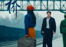 短剧《心桥（77集）》优质短剧免费全集欣赏