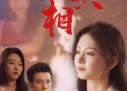 短剧《看不见的真相（66集）》免费短剧完整版畅看