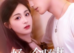 短剧《好一个贤妻（55集）》热门短剧在线畅享