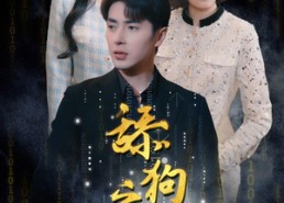 短剧《舔狗之王（100集）》优质短剧免费在线追全集