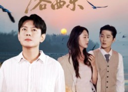 短剧《终随雁影各西东（86集）》短剧全集在线免费观影