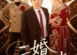 短剧《二婚不可挡（36集）》短剧完整版在线观看