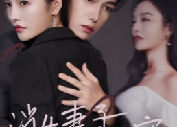 短剧《消失妻子的秘密（60）》短剧全集免费在线直看