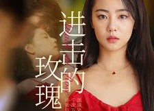 短剧《进击的玫瑰（82集）》短剧免费高清全集畅看