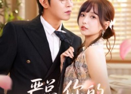 短剧《严总你的小玫瑰又作妖了（77集）》短剧免费全集畅快追