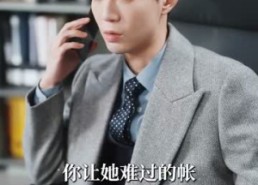 短剧《爱在万米高空（100集）》热门短剧全集免费畅播