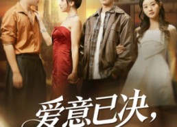 短剧《爱意已决不再相望（70集）》免费短剧全集畅快追