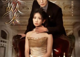 短剧《无人知是故人来（60集）》超燃短剧免费全集享