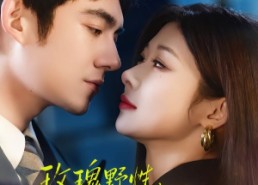 短剧《玫瑰野性，太子爷他甘愿上钩（82集）》超火短剧免费在线追