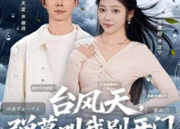 短剧《台风天，弹幕叫我别开门（60集）》超火短剧免费全集看