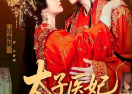 短剧《太子医妃升职记（82集）》短剧全集免费在线追剧