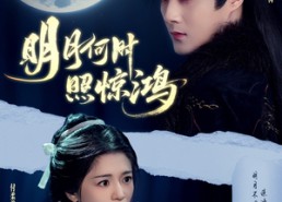 短剧《明月何时照惊鸿（80集）》精彩短剧全集免费畅播