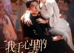 短剧《我手心里的玫瑰（91集）》热门短剧高清免费看