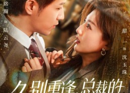 短剧《久别重逢，总裁的白月光回来了（62集）》免费短剧全集高清畅享