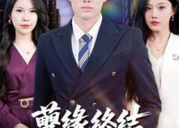 短剧《孽缘终结，重生不做冤大头（80集）》热门短剧全集免费播放