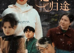 短剧《天下无拐之意外归途（61集）》短剧全集免费在线速览