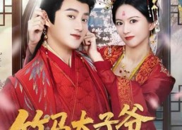 短剧《竹马太子爷求我母仪天下（60集）》短剧全集免费畅快追