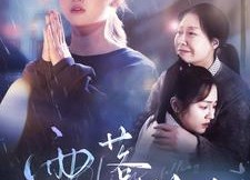 短剧《雨落尘归（80集）》短剧完整版免费畅享