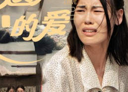 短剧《遗失的爱（30集）》短剧全集高清免费看