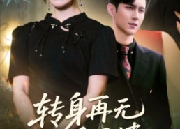 短剧《转身再无手足情（71集）》免费短剧在线完整赏