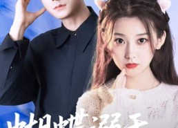 短剧《蝴蝶溺于谎言之海（50集）》爆款短剧免费高清看