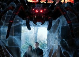 短剧《凶宅保胎实录（64集）》免费短剧完整版速看