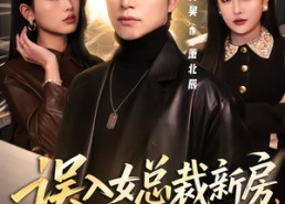 短剧《误入女总裁新房，冥王沦陷了（80集）》精彩短剧免费在线追