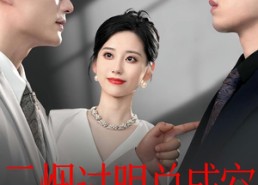 短剧《云烟过眼，总成空&云烟过眼总成空（80集）》短剧完整高清免费观