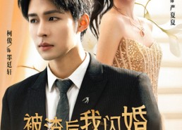 短剧《被渣后我闪婚了豪门继承人（96集）》爆款短剧在线高清畅享