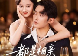 短剧《都是相亲惹的祸（72集）》经典短剧全集免费在线追