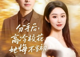 短剧《分手后高冷校花她悔不当初（43集）》精彩短剧免费在线赏