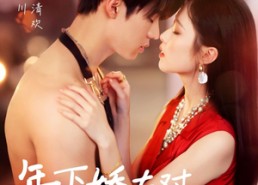 短剧《年下娇夫对我一往情深（73集）》热门短剧完整版免费赏