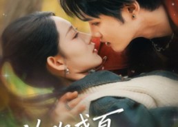 短剧《许你盛夏（65集）》免费短剧完整剧情观看