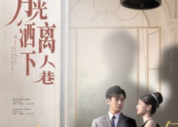 短剧《月光洒下离人巷（60集）》高清短剧在线免费追