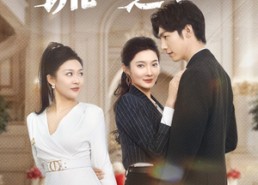 短剧《谎言之茧（29集）》免费短剧高清全集追剧