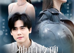 短剧《他的玫瑰与寒霜（60集）》免费短剧全集流畅观看