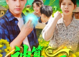 短剧《神算小村医（100集）》精彩短剧全集免费畅看