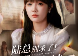 短剧《陆总别求了夫人已经再婚有娃了（55集）》热门短剧全集畅快追