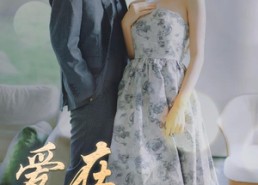 短剧《爱在陌上花开时（100集）》热门短剧在线高清看